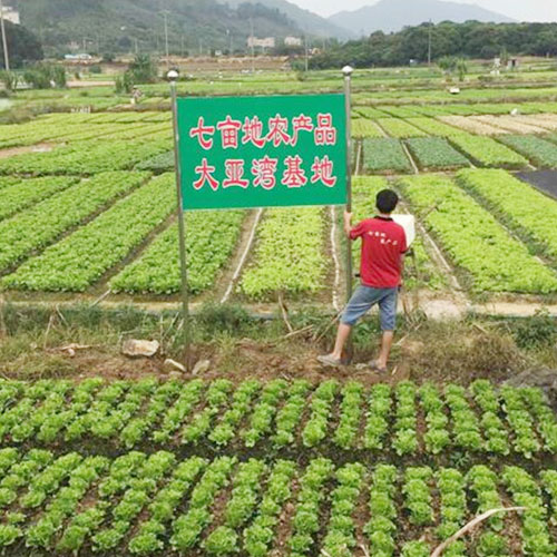 种植基地2种植基地深圳市mg冰球突破十大平台农产品实业有限公司