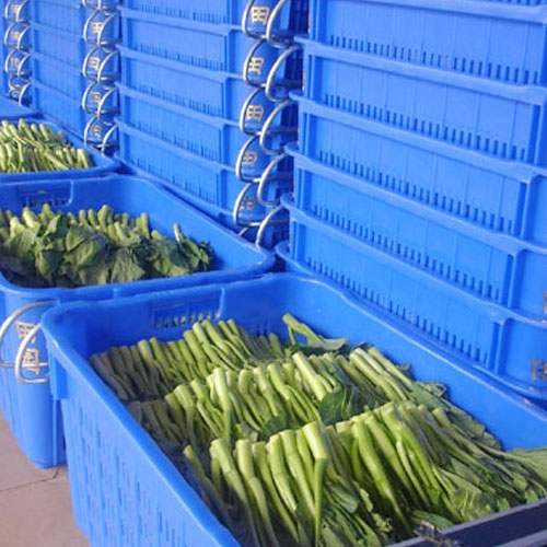 分拣中心基地仓库深圳市mg冰球突破十大平台农产品实业有限公司