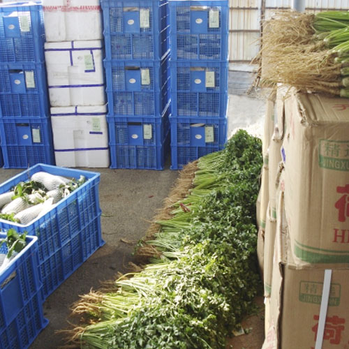 分拣中心1基地仓库深圳市mg冰球突破十大平台农产品实业有限公司