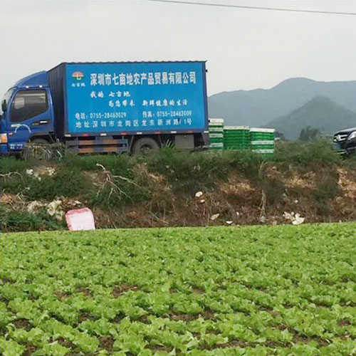 种植基地3种植基地深圳市mg冰球突破十大平台农产品实业有限公司