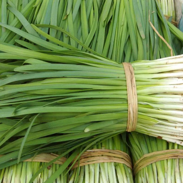 深圳市mg冰球突破十大平台农产品实业有限公司-蔬菜配送-韭菜配送