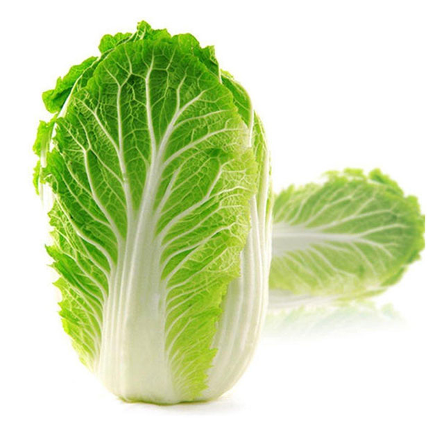 深圳市mg冰球突破十大平台农产品实业有限公司-蔬菜配送-大白菜配送