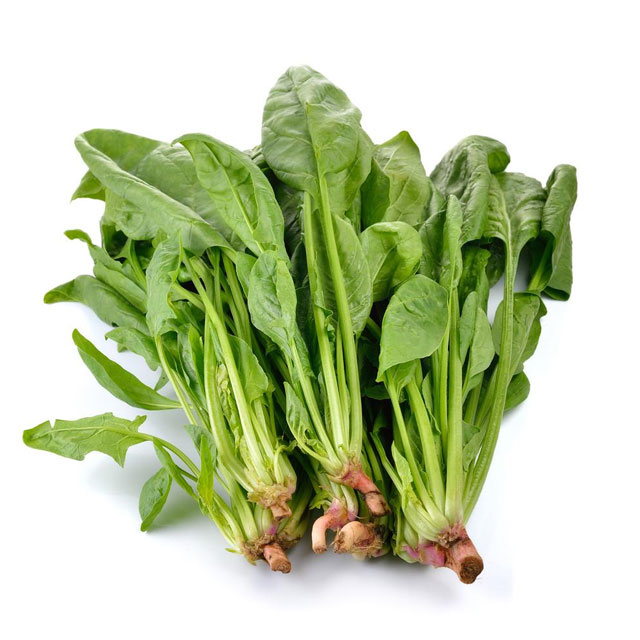 菠菜配送-蔬菜配送-深圳市mg冰球突破十大平台农产品实业有限公司