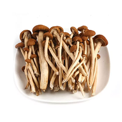 茶树菇配送调料干货深圳市mg冰球突破十大平台农产品实业有限公司