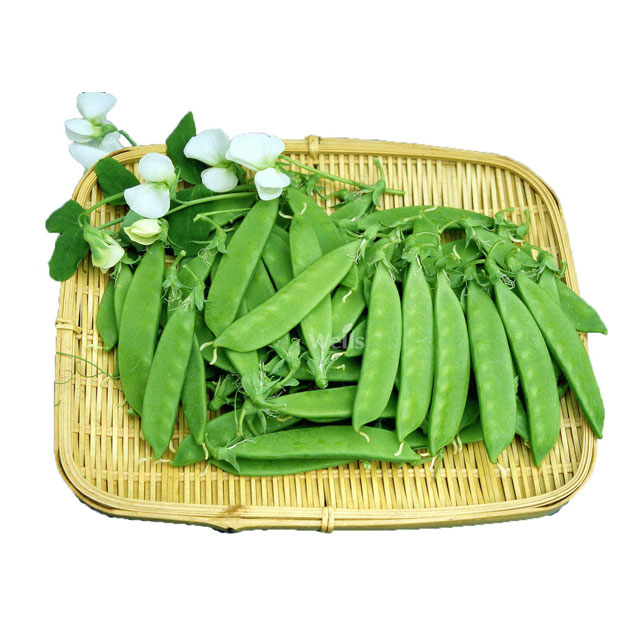 深圳市mg冰球突破十大平台农产品实业有限公司-蔬菜配送-荷兰豆配送