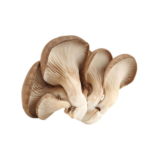 平菇配送蔬菜配送深圳市mg冰球突破十大平台农产品实业有限公司