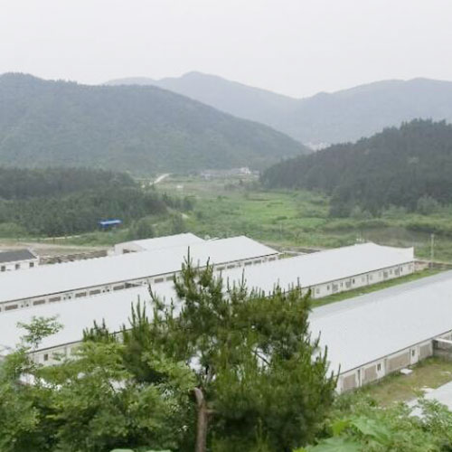 养猪场4基地仓库深圳市mg冰球突破十大平台农产品实业有限公司