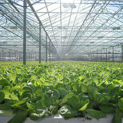 云南基地基地仓库深圳市mg冰球突破十大平台农产品实业有限公司