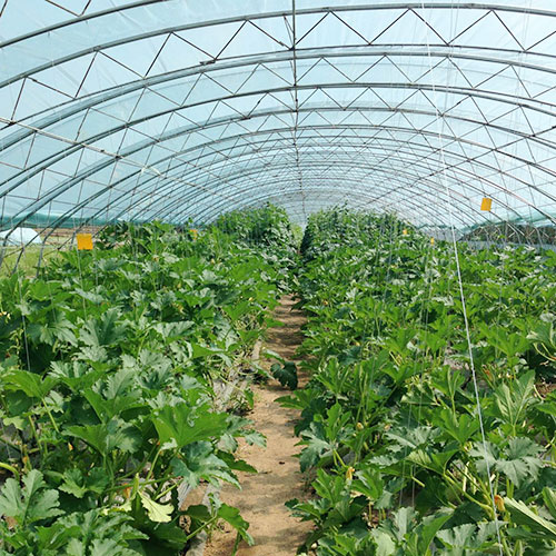 河南濮阳基地基地仓库深圳市mg冰球突破十大平台农产品实业有限公司