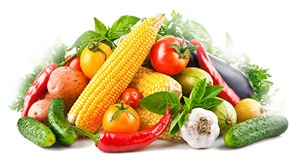 深圳市mg冰球突破十大平台农产品实业有限公司